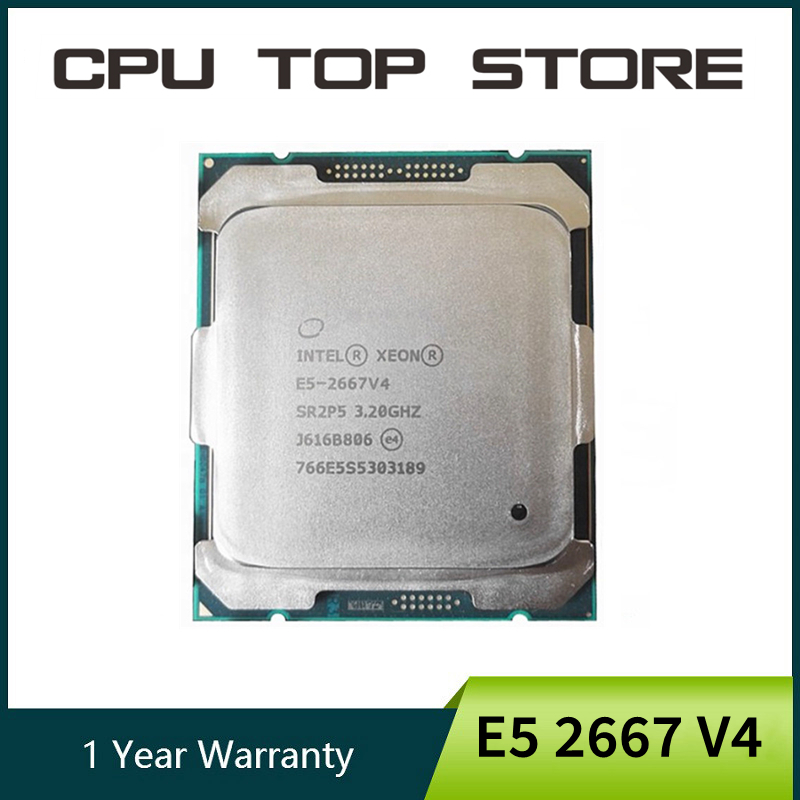 Intel Xeon E5 2667 V4 2667V4 3 - đánh giá và giá Gold 6248R